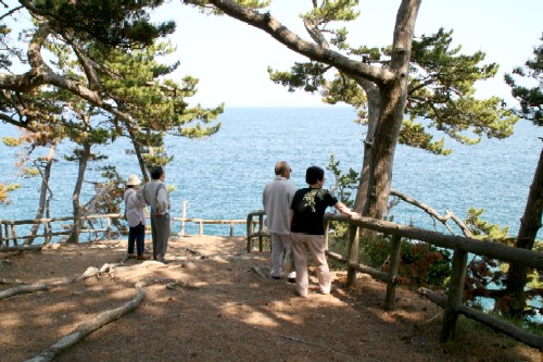 入梅前の晴天に