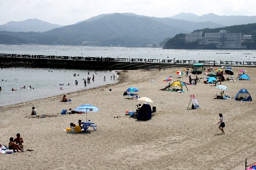 海水浴シーズン到来！
