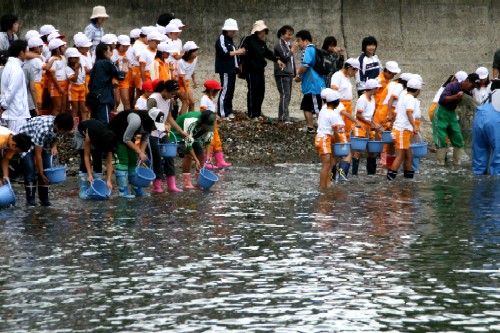 ヒラメ稚魚放流