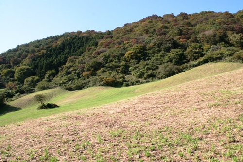 草地から見た惣内山