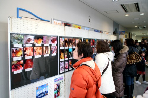 地域の魅力をとらえた393作品を展示