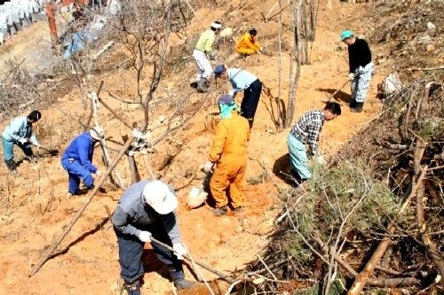 「ヤマガンの森」で植樹