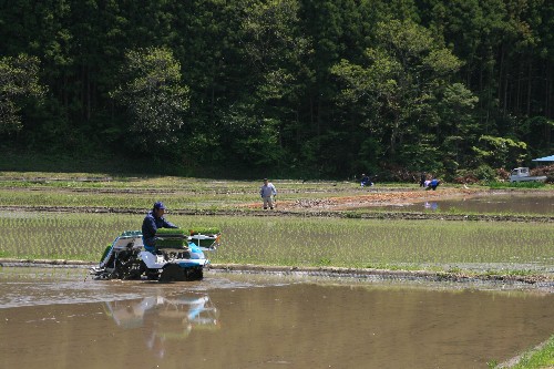 進む田植え作業