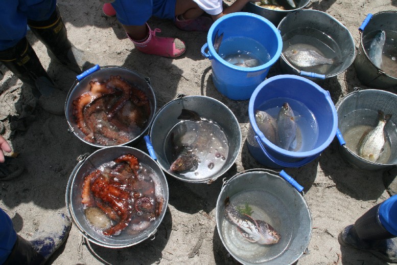 ふるさとの海に親しむ会（その４）