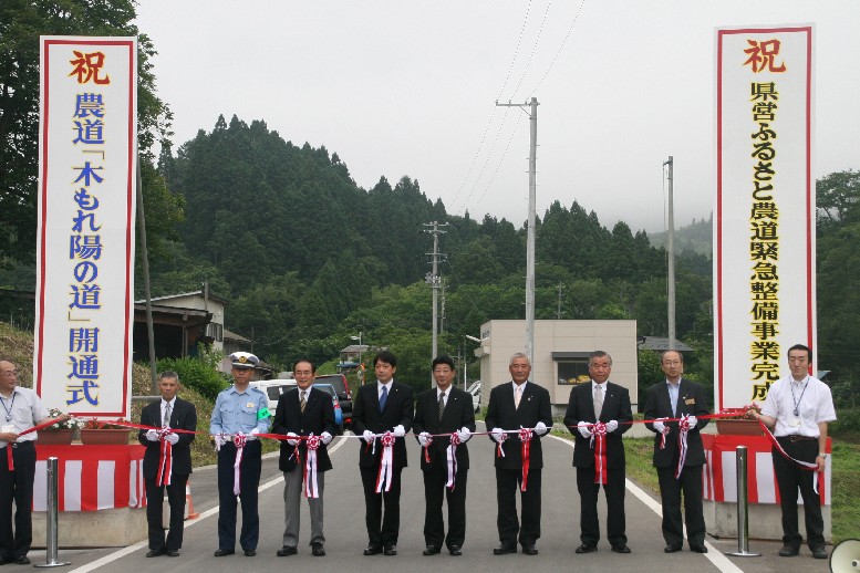 「木もれ陽の道」開通！（その１）