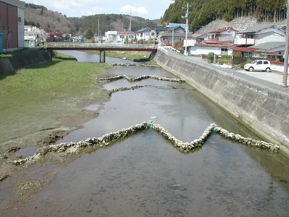伊里前川のシロウオ漁