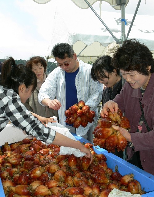 ＧＷ魚竜館うに丼フェア